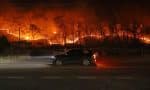 Church seeks support for victims of rampaging Korean wildfires