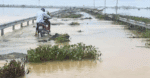 Vietnamese farmers face the wrath of climate change