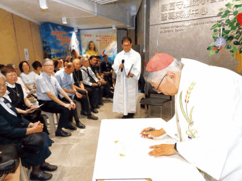 Safeguarding minors and vulnerable individuals in a synodal Church