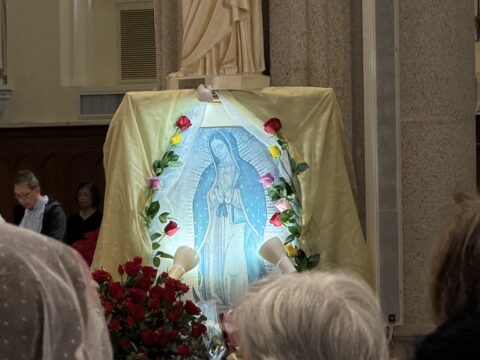 Mass in honour of Our Lady of Guadalupe
