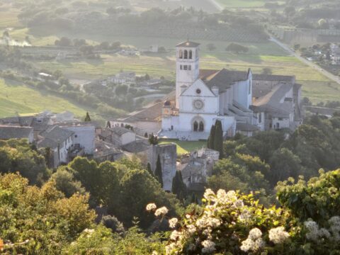 Pope Leo XIV expected to visit Assisi during Year of St. Francis, archbishop says