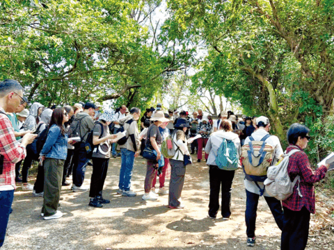 Lenten Way of the Cross highlights care for creation
