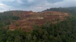 Terraced hillside mining/land clearing with construction equipment amid a dense forest backdrop under a cloudy sky.
