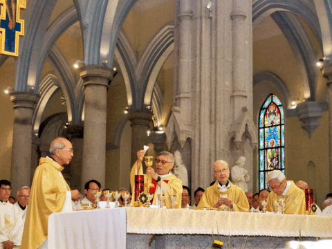 Cardinal Stephen urges hope and humility at Chrism Mass Cardinal Stephen urges hope and humility at Chrism Mass
