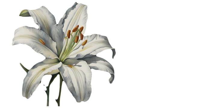 White lilies on the altar