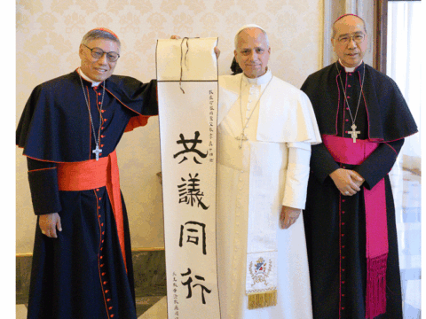 Ad limina visit: bishops share life of the Church in China with pope