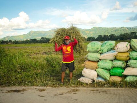 Lack of El Niño response puts farmers, food security at risk, Philippine Church group warns Lack of El Niño response puts farmers, food security at risk, Philippine Church group warns
